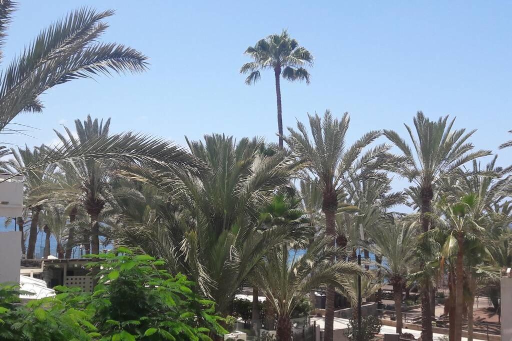 Guayero, Bel appartement à 50m de la mer Los Cristianos (Tenerife) Exterior foto